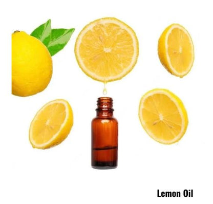 Lemon - Citrus Limonum Sicily