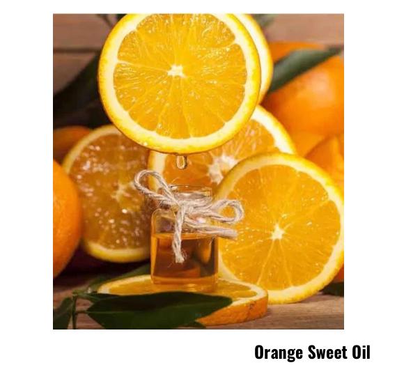 Orange Sweet - Citrus Sinensis Florida