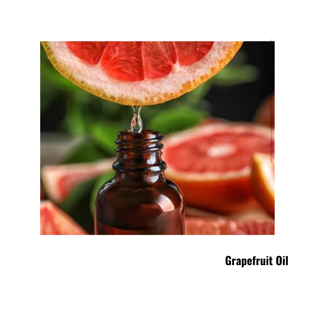 Grapefruit - Citrus Paradisi USA